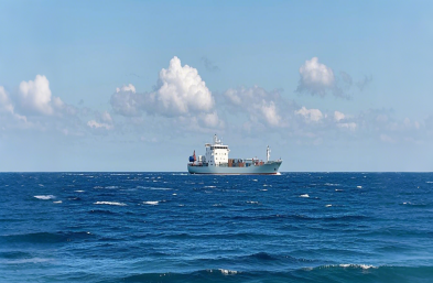 冷藏集裝箱海運：全球貿易的冷鏈衛士，你了解多少？